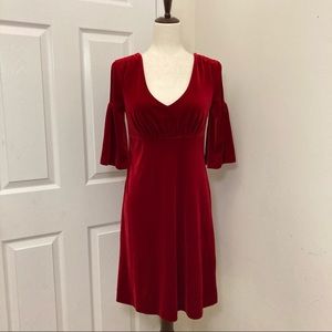 (Size S) Ruby Red Velour Dress